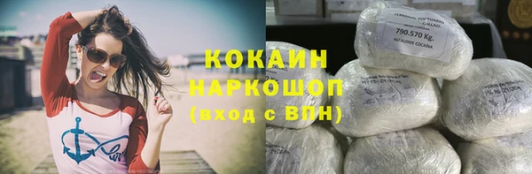apvp Дмитров