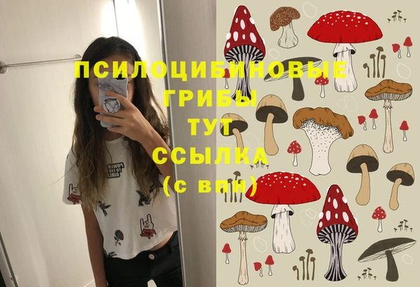 трава Дмитровск